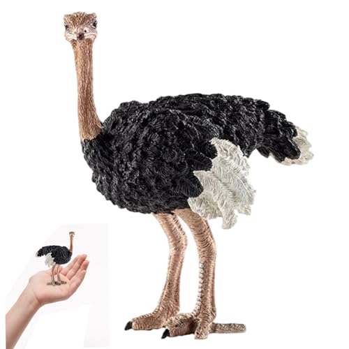 Heidouse Giocattoli Animali, Figure Animali realistiche di Struzzo, Giocattoli educativi dettagliati per Ragazzi, Ragazze