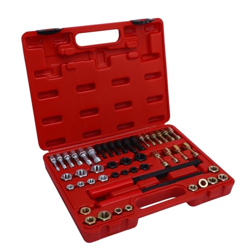 ACOGEDO Juego de Cazadores de Hilo de 48 Piezas y Tamaños SAE 22 Machos de Roscar 24 Matrices 2 Limas de Hilo Kit de Herramientas de Reroscado Juego de 22 Machos de Roscar y en Kit de Reparación de