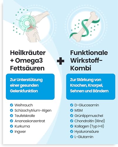 PAWSAN® Gelenktabletten Hund - Grünlippmuschel Hund - HOCHDOSIERT - Gelenktabletten für Hunde mit Teufelskralle Hund, MSM Hund & Kollagen Hund - Gelenk- & Knochenschutz für Hunde