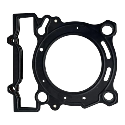 Cylinder head gasket BN251 joint de culasse moto TNT 25 kit