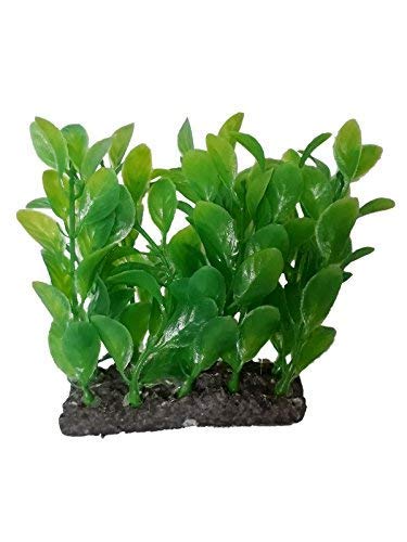 emily pets Artificial Green Grass Water Plant for Fish Tank Aquarium Decor Ornament Decoration (Pack of 1) (B08Y6HDGK4) Amazon Price History, Amazon Price Tracker