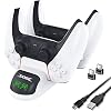 PS5 Controller Ladestation, RIXOW PS5 Ladegerät Docking mit LED Anzeige für Playstation 5 Konsole, PS5 Zubehör 2 Type-C Ladekopf für DualSense Wireless Controller Ständer