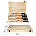 DEEFIINE Carbide Tipped Wood Lathe Turning Tools Set with Bowl sander, Lathe Rougher And Finisher Swan Neck Hollowing Tools With 4pcs Carbide Inserts for woodturning（6pcs)