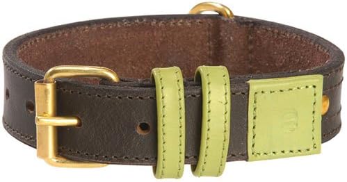bobby dog collar
