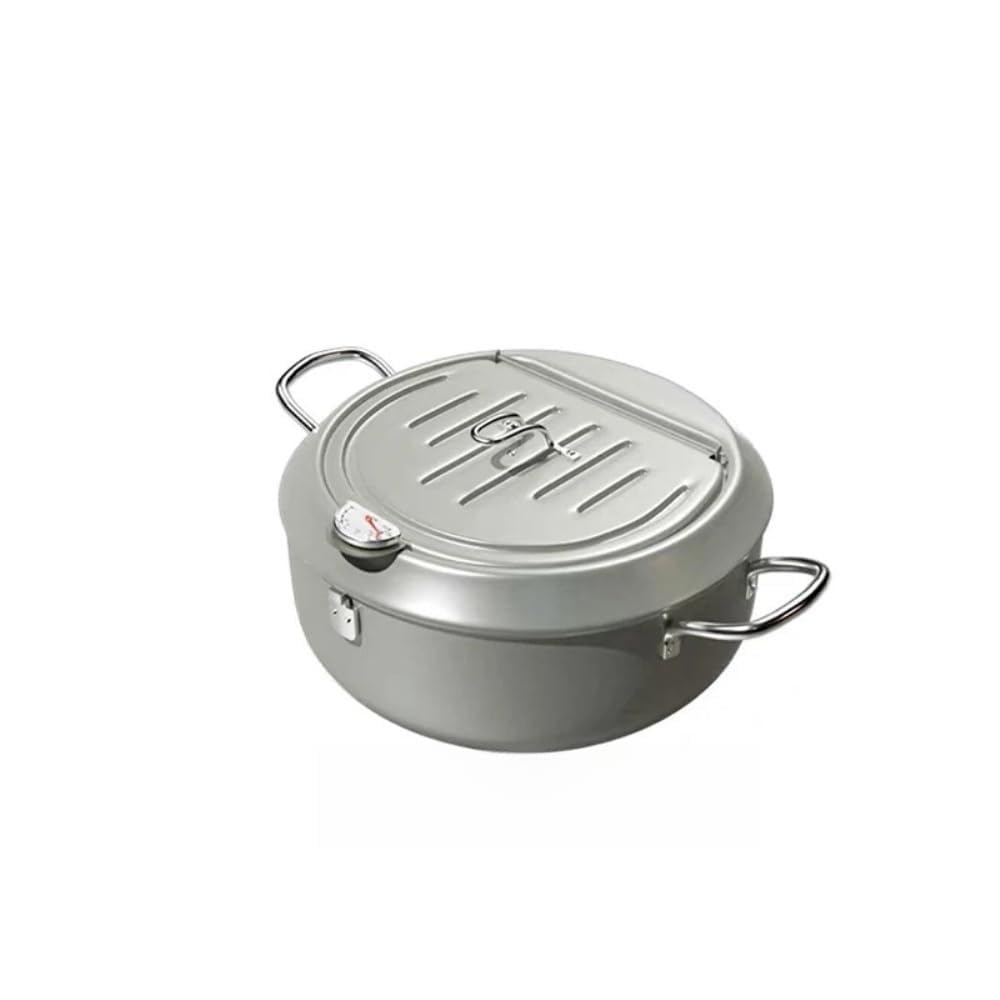 304 Stainless Steel Oil Pan Japanese Deep Frying Pot with a Thermometer and a Lid Kitchen Tempura French Fries Oil Fried Pan(Silver 20cm)