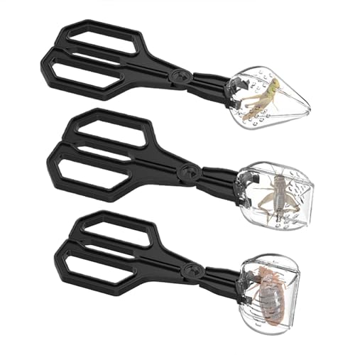 Fonney 爬虫類の餌、爬虫類用のクリケットフィーダー,3ピースクリップ処理ツール爬虫類スクープ - アクセサリー、両生類用品、子供、家族、友人、家のためのトカゲキャッチャー