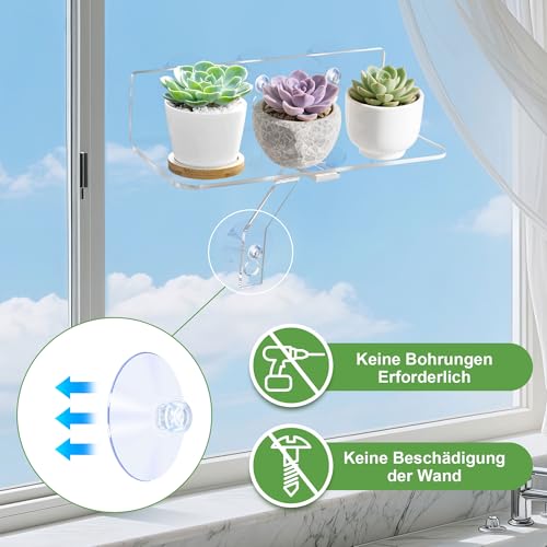 aleawol 2 Stück Hängende Acryl Pflanzenregale für Fenster 5mm Dick, 30cm Clear Saugnapf Regal Fenster Pflanzen, Pflanzen Regal Fensterbank Innen mit Beinen, für Blumen, Sukkulenten, Blumentöpfe