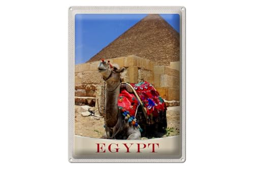 mrdeco Cartel de metal 30 x 40 cm abovedado Egipto África camello desierto decorativo cartel de ...