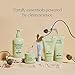 Pipette New & Improved Formula Baby Lotion, Hydration, Natural Moisture of Baby's Delicate Skin, Renewable Plant-Derived Squalane, Fragrance-Free Lotion, 5.7 Fluid Ounces
