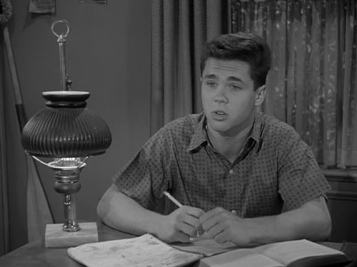 Leave it to Beaver, Season Four: Beaver's Frogs