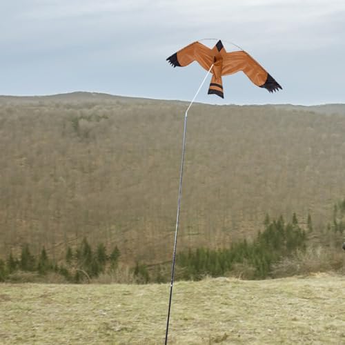 Cerf-volant oiseau volant idée cadeau anniversaire extérieur