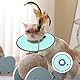 NIYATA Halsband für Katzen, Anti-Lecken, weich, faltbar, verstellbar, Elisabethanischer Kragen, Erholung nach Postoperation für Katzen, lecksicher, wasserdicht (grün)