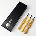 Wazakura 3PCS Bonsai Chisel Kit with Round Gouge, Single Bevel Skewed and V-Parting Tool, Hand Carving Tool Set for Jin Shari Making, Woodworking Knife Pack (3PCS Bonsai Chisel Kit)