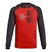 Under Armour Boys Rival Logo Hoodie
