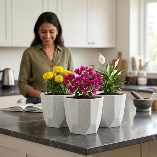 Image of YUCCABE ITALIA SHERA Hexa Round Plastic Flower Pot with Drainage Holes Planter Pot Suitable for Indoor Outdoor Kitchen Garden (Stone White, 8 Inch - 3 Pcs)