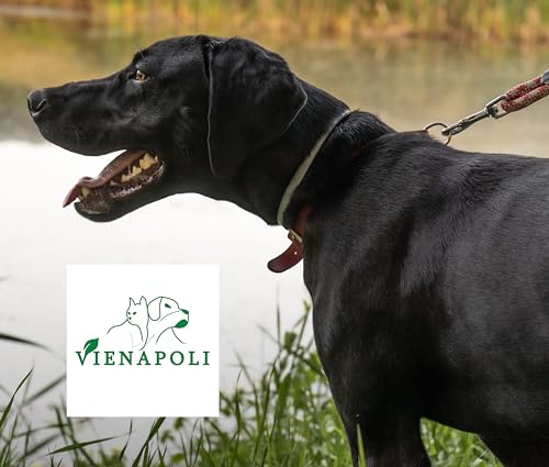Vienapoli Abwehrhalsband für Hunde, für große, mittelgroße und kleine Hunde, mit verstellbarem Design, auch für Welpen ab 6 Wochen geeignet