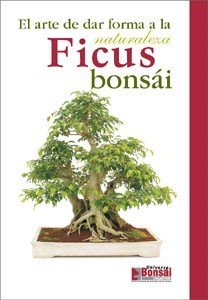 Guía Ficus bonsái