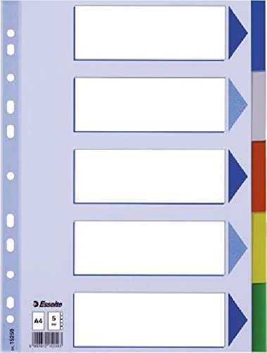 Register A4 blanko bunt 5tlg. ESSELTE 15259 Plastik fbg.Tabs VE=20(Liefermenge=20)