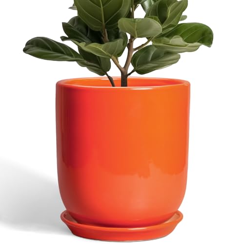 SUNPOTFOR Indoor Planter 10 Inch