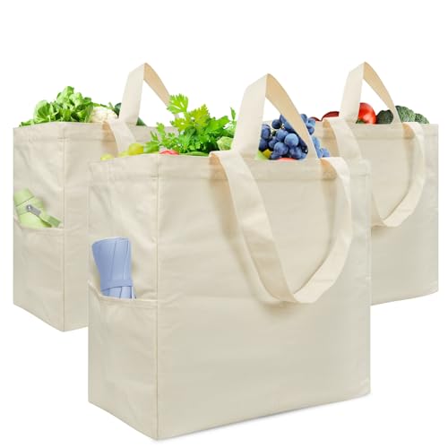 Dwscroad Canvas Tote Bag 3 Pack