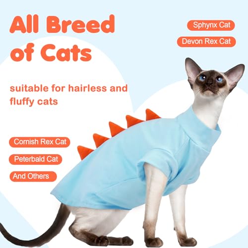 #1 Best Dentrun Sphynx Cat - Premium Pet Apparel Set - Image 5