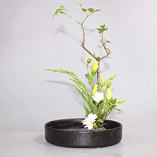 Flower Frog Stainless Steel Pin Frog Flower Arrangement Holder (2.4 Inch (60Mm)) #TOP4