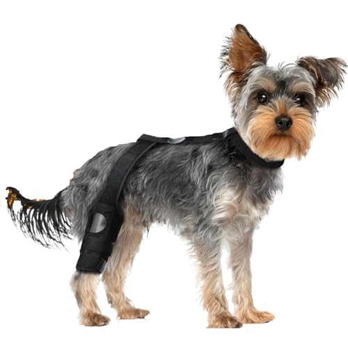 Hunde-Kniebandage – Bandage für Hinterbein, Bein oder Vorderbein, verstellbare Beinstütze für Hinterbeine, Bänderverletzungen, lindert Schmerzen und reduziert Schmerzen
