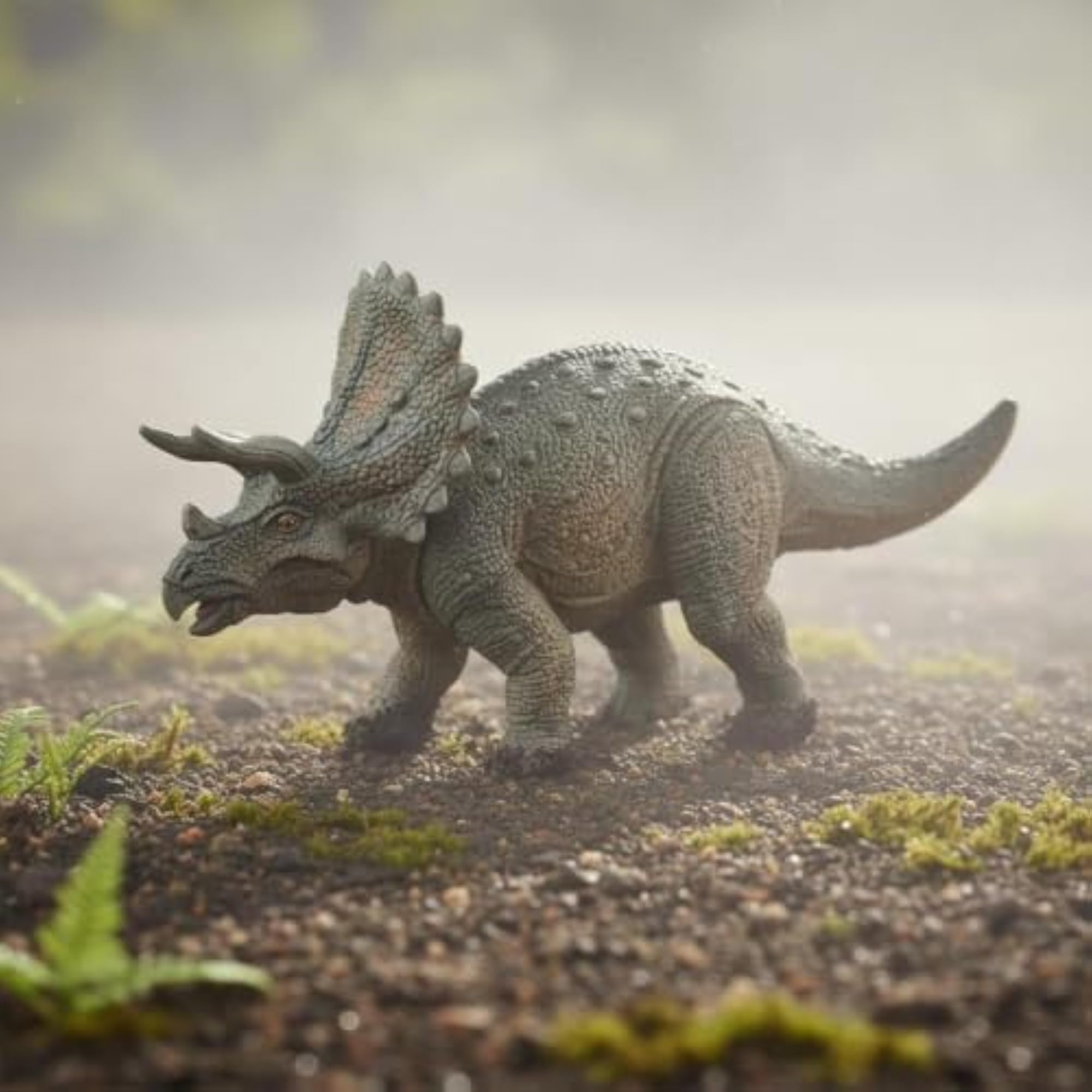 Realistic Triceratops Toy Figure, Educational Dinosaur Model