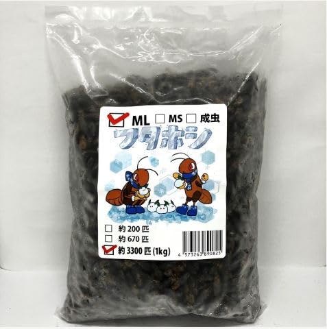 �y�W�y�t�@�[���z�y�N�[���֔����z�Ⓚ�t�^�z�V�R�I���M(�`���R�I���M) ML�T�C�Y �P����(��3300�C����)