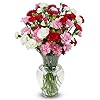 Benchmark Bouquets 20 stem Rainbow Mini Carnations, With Vase (Fresh Cut Flowers)
