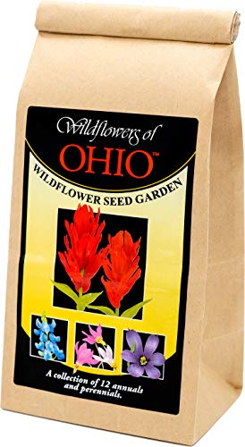 Ohio Wildflower Seed Mix - A Beautiful Collection of Twelve annuals and perennials - Over 40,000 Premium Seeds - Enjoy The Natural Beauty of Ohio Flowers in Your own Home Garden