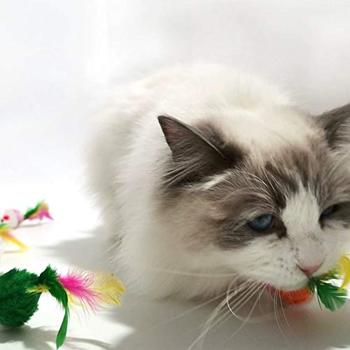 VOVIGGOL 12 Stück 5 Farben Furry Katzenspielzeug Maus Katze Mäuse Spielzeug Kätzchen Maus Rassel Catcher Haustier Maus Spielzeug mit Federschwänzen für Katzen Spaß Spielen - Image 7