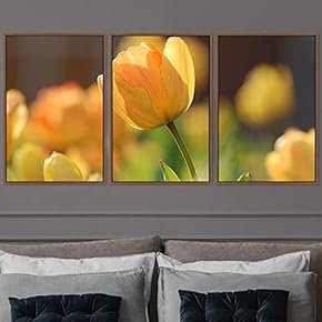 signwin 3 Piece Framed Canvas Wall Art Orange...