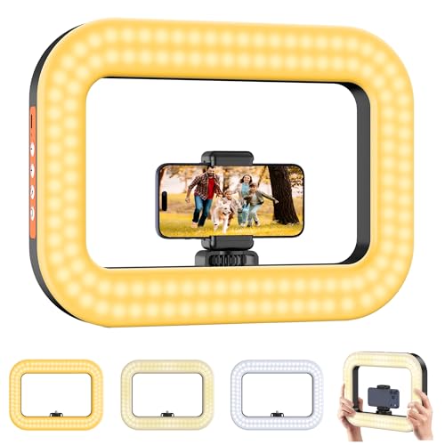 Zeadio 2 em 1 Luz de vídeo anular e estabilizador de telefone, pega para smartphone com luz LED de 20 W, para filmagem transmissão ao vivo gravação de vídeos do Youtube etc