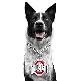 Littlearth NCAA Pet Fan Chain Ohio State Buckeyes