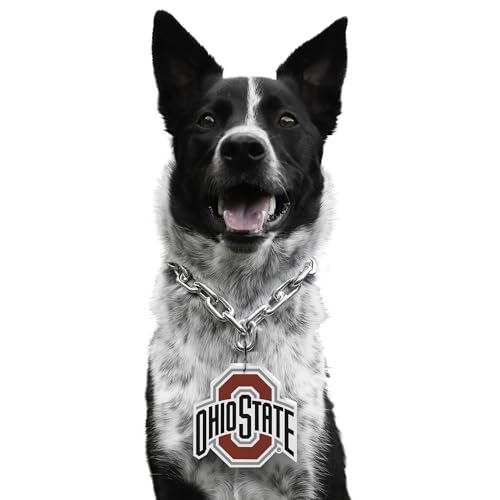 Littlearth NCAA Pet Fan Chain Ohio State Buckeyes