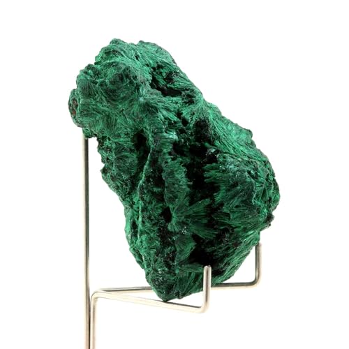 Malachite brute du Katanga de 540 carats pour collectionneur de minéraux du Congo - 2