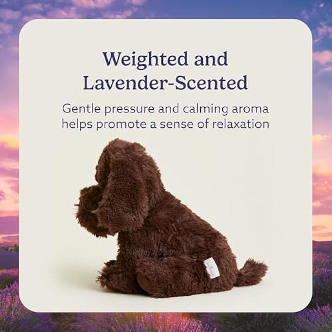 warmies Microwavable & Weighted Stuffed Animals, Chocolate Lab - Heated Stuffed Animal Plushie for Warmth & Comfort - Cute Soft Plush Toys for Adults & Children (Boys, Girls, Babies & Toddlers)