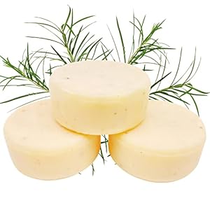 Zero Waste Natural Dish Soap Bar (P...