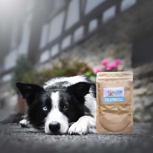 Sollis Fellfinesse | Fellwechselunterstützung für Hunde | Gegen Juckreiz, Dermatitis & Haarausfall | Unterstützung für Haut & Fell von Hunden | 100g