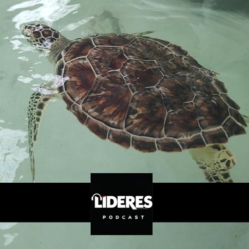 Rescate ecol&oacute;gico en Xcaret