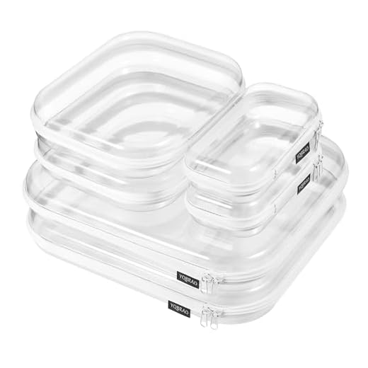 6 Pack Clear Hard Shell Organizer Cases