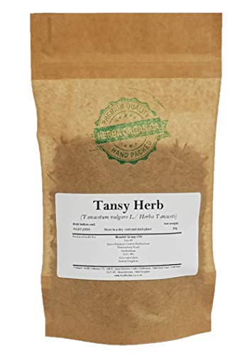 Tanacetum Vulgare L Tisane de Tanaisie séchée Tansy Herb Tea 50g