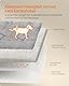 Feandrea Hundedecke, 2er Set, Wiederverwendbare Hundematte, 61 x 46 cm, S, wasserdicht, auslaufsicher, rutschfest, saugfähig für Hunde, Katzen, Kaninchen, Taubengrau PTD001G01