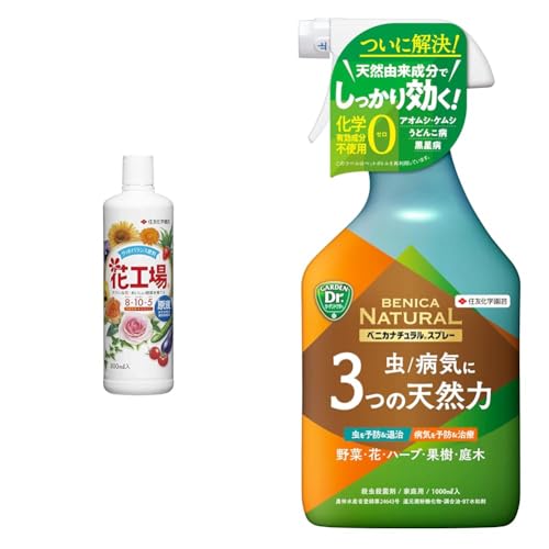 yZbgzZFw| 엿 ԍHꌴt 800ml+EEۍ xjJi`Xv[ 1000ml