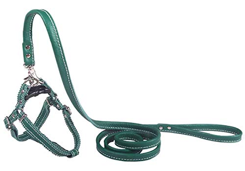 Hundegeschirr Kleine Hunde Leder Verstellbar feiling Hundegeschirr Welpen Brustgeschirr Haustier Ausbruchsicher Katzengeschirr Ledergeschirr Weichem mit 1.3m Hundeleine Leder (Grün)