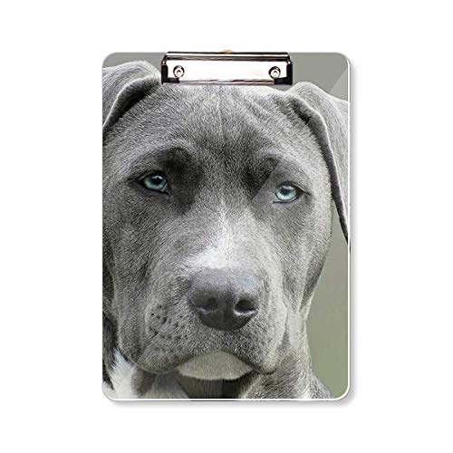 Bloc-notes A4 avec porte-bloc image de chien support écriture rigide bureau