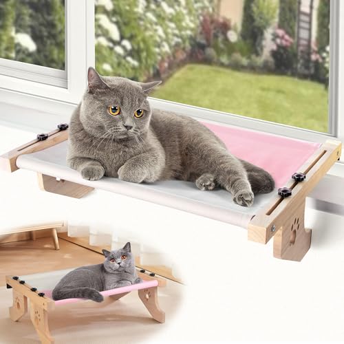 BEFER 2-in-1 ߉\ȔLEBhEp[` 22C`x15C`A\bhEbh^LEBhEnbNxbh RbglJo[t xbhTChAoALrlbgp̊ȑӃV[g(22C`L-sN)