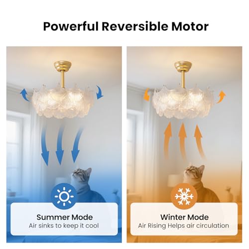 Image of 20'' Fandelier Ceiling Fans with Lights, Gold Caged Ceiling Fan with Remote Low Profile, 6 Speed and Gingko Leaf, Modern Semi Flush Mount Ceiling Fan for Bedroom, Living Room, Nursery