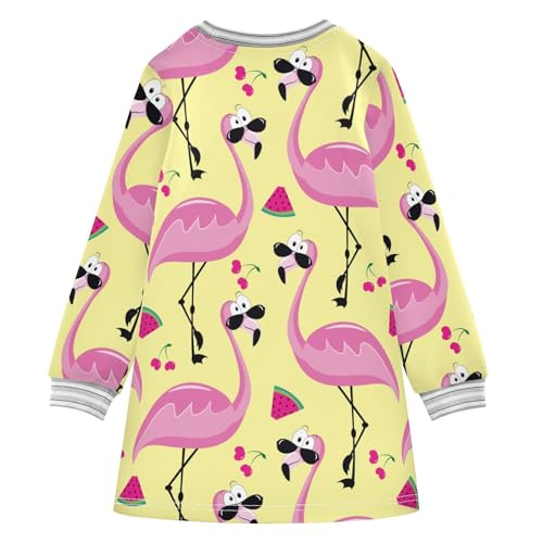 Flamingo Fruit Girls Dresses Long Sleeve Sweatshirt Dress for Girls Winter Toddler Casual A Line Dresses Size 2-8T2